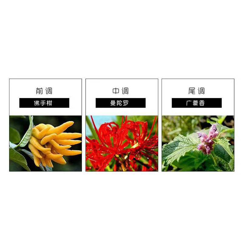 圣罗兰(YSL) 反转巴黎女士香水30ml(FH)化妆品*高清大图