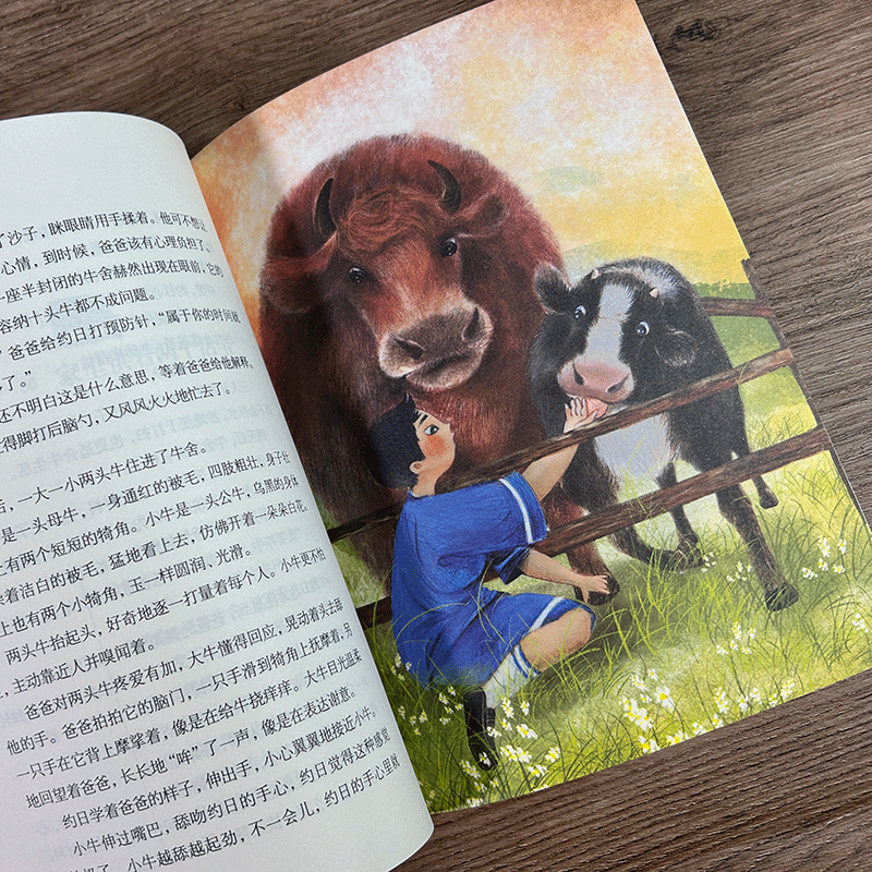 云端有个足球场 [正版]云端有个足球场 许廷旺著 8-10-12小学生一至四年级青少年课外阅读 中国当代儿童文学成长励文高清大图