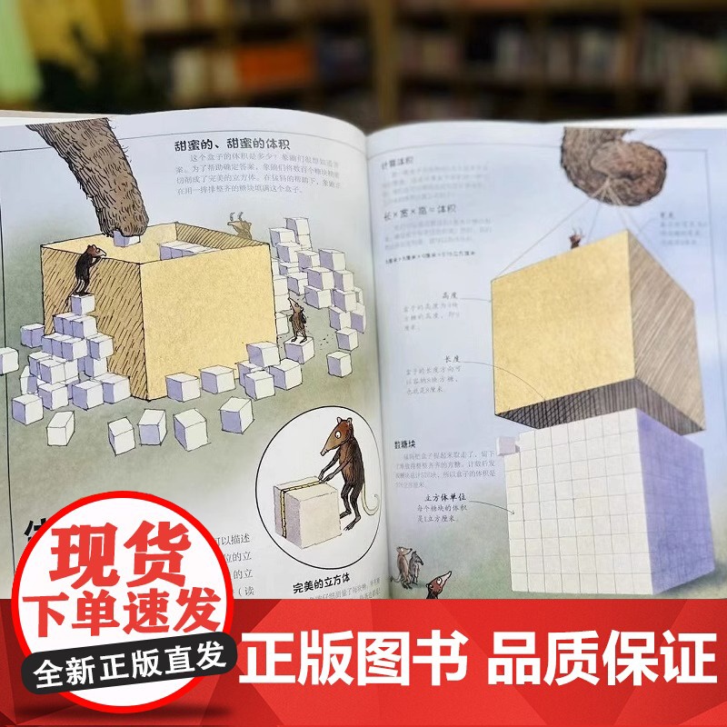 DK数学运转的秘密7-12中小学生课外阅读数学科普入门启蒙书少儿童百科中小学生三四五六年级暑假期课外阅读百科全书籍科普读高清大图