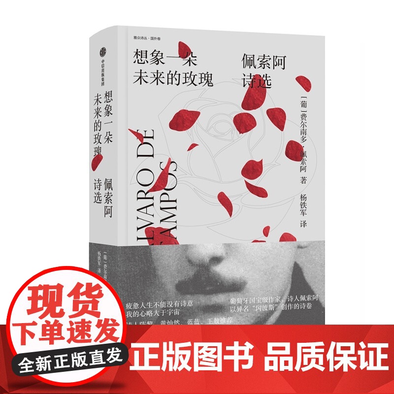 想象一朵未来的玫瑰+我将宇宙随身携带 套装2册 费尔南多·佩索阿 著 文学高清大图