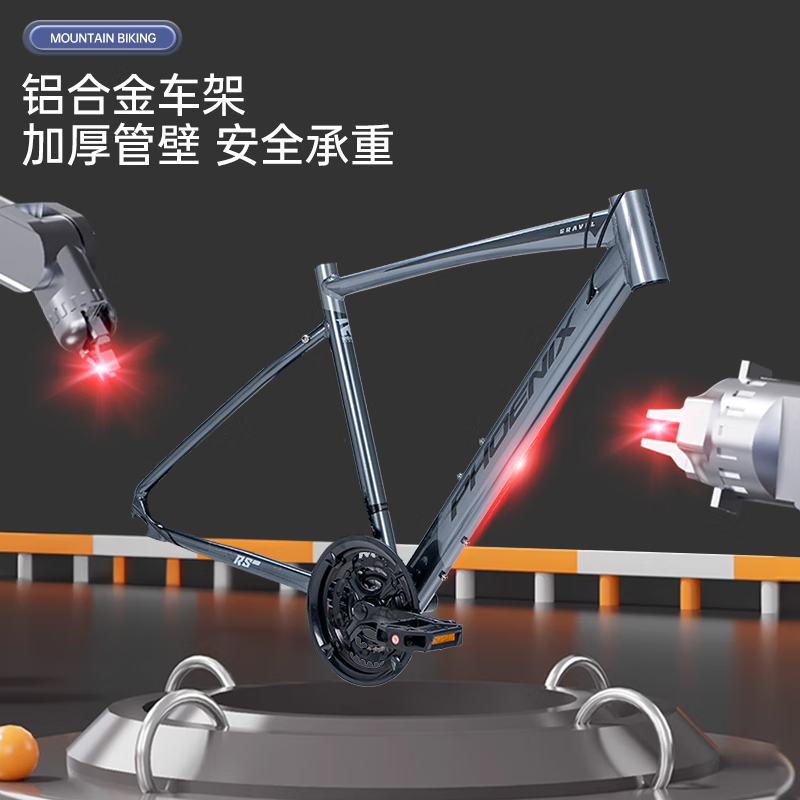 凤凰 21速26寸辐条轮平把公里自行车TGDZ01-银灰色高清大图