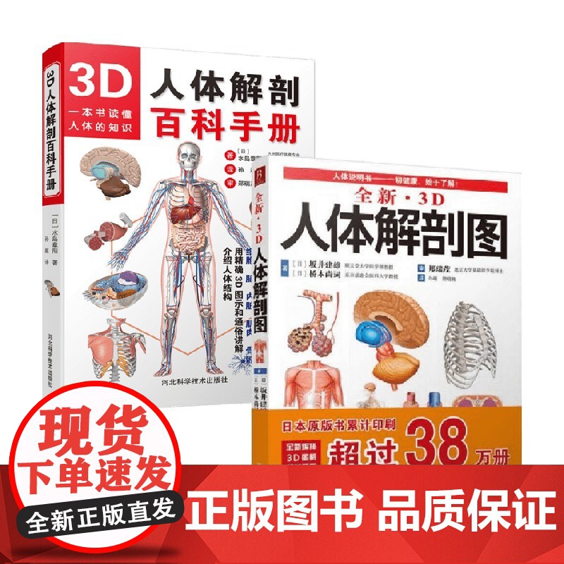 3D人体解剖百科手册+全新3D人体解剖图 水岛章阳等 著 医学高清大图