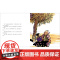 姑姑的树硬壳精装绘本图画书适合3-4-5岁以上幼儿亲情教育启蒙认知系列一棵树的往事一段祖孙深情正版童书