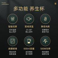 FGA养生壶办公室小型家用多功能煮茶器煮花茶壶mini养身炖煮杯