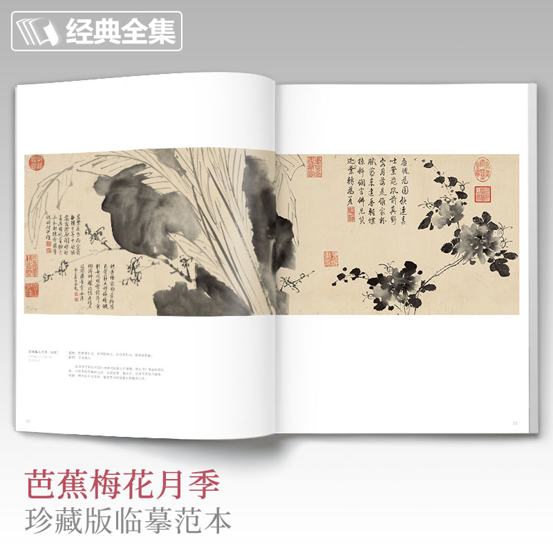 [正版]书籍徐渭画集高清大图