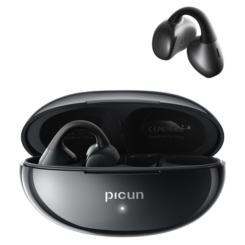 品存(picun)IPX5防水防汗兼容双设备耳夹式耳机 黑色 W28