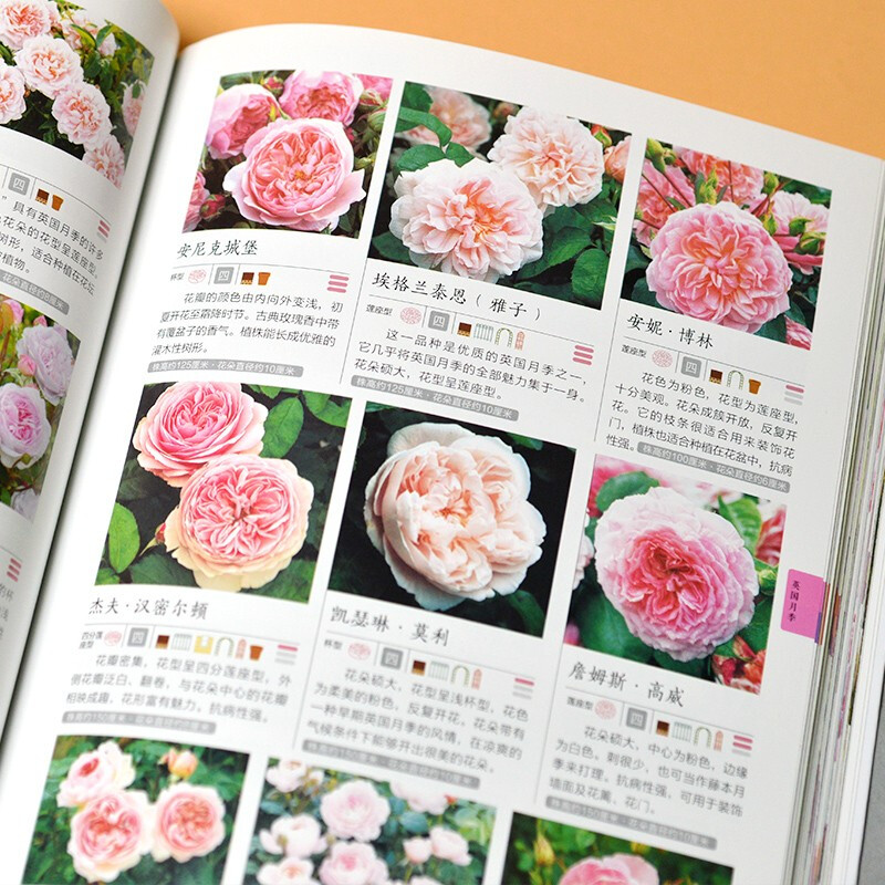 [醉染正版][书含章图鉴-玫瑰花月季花图鉴 700多种的鉴赏养护指南日本育种专家园艺大师的经验传授轻松培育出五彩斑斓的花高清大图