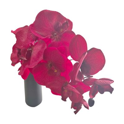 莘煊 仿真花摆件 单只+花瓶 套