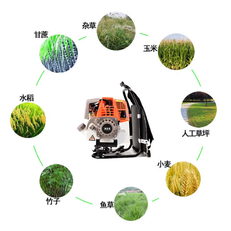 维思泰 背负式割灌机割草机打草机 BFG650 台