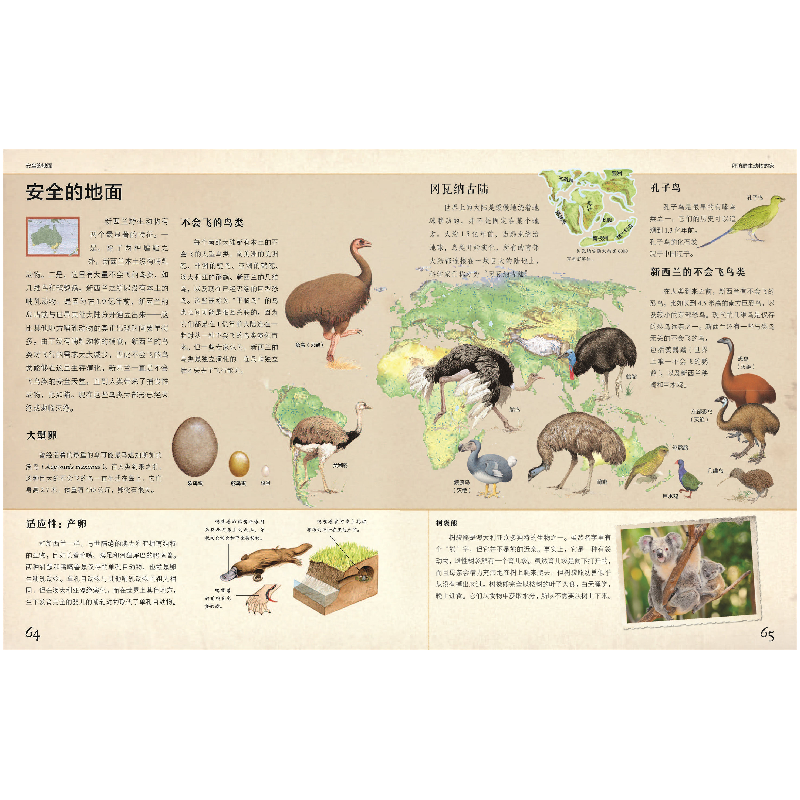 正版新书]拜访野生动物的家[英]约翰·法恩登著,苏靓,徐强 译97高清大图