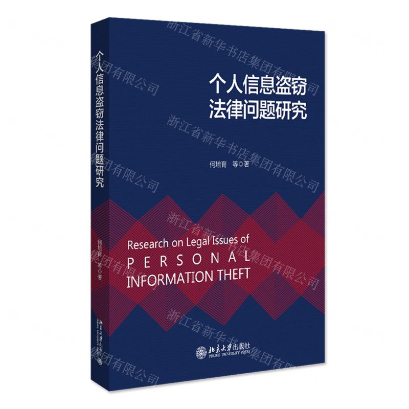 [N]个人信息盗窃法律问题研究-9787301332948高清大图