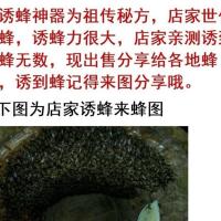 一瓶150g 招蜂水引蜂水诱蜂水收蜂水诱蜂液收捕野蜂王信息素特价9.9