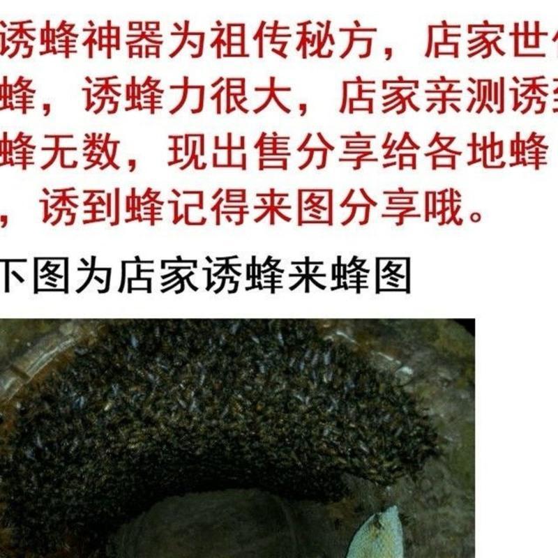 一瓶150g 招蜂水引蜂水诱蜂水收蜂水诱蜂液收捕野蜂王信息素特价9.9