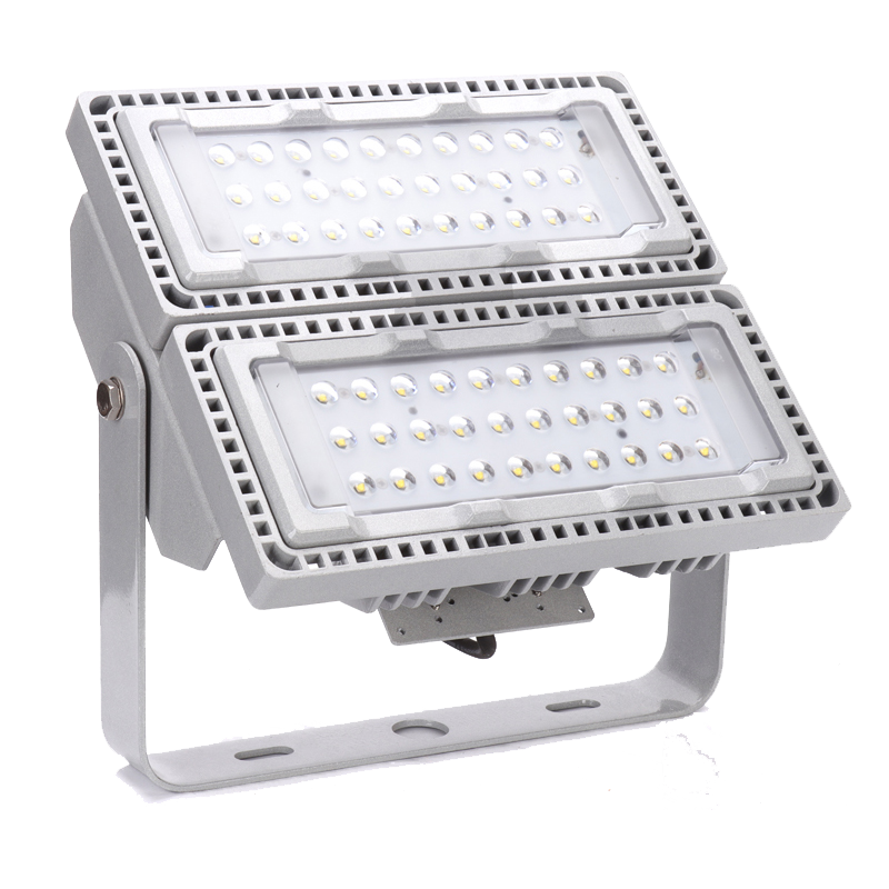 熠飞(EEEFEI) 防水防尘灯 LED 泛光灯 EF8202 100W高清大图