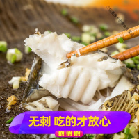 新鲜多宝鱼 海鲜水产新鲜比目鱼海鱼冷冻八宝鱼大菱鮃海水鱼 [三条装] [6-7两]一条