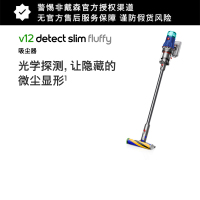 戴森吸尘器 V12 Detect Slim Fluffy