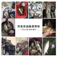 本汀 鱼饵拉爆通杀饵料鲤鱼鲫鱼饵料窝料草鱼青鱼饵料粉末综合饵