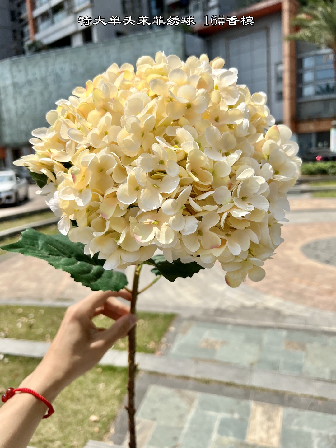 小窝厘 高仿真大绣球花特大单头莱茵绣球假花装饰 单个花头直径30cm 香槟高清大图
