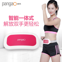 攀高(pangao) 智能按摩腰带 PG-2641 甩脂机塑身腰带 懒人运动器 瘦腰瘦肚子