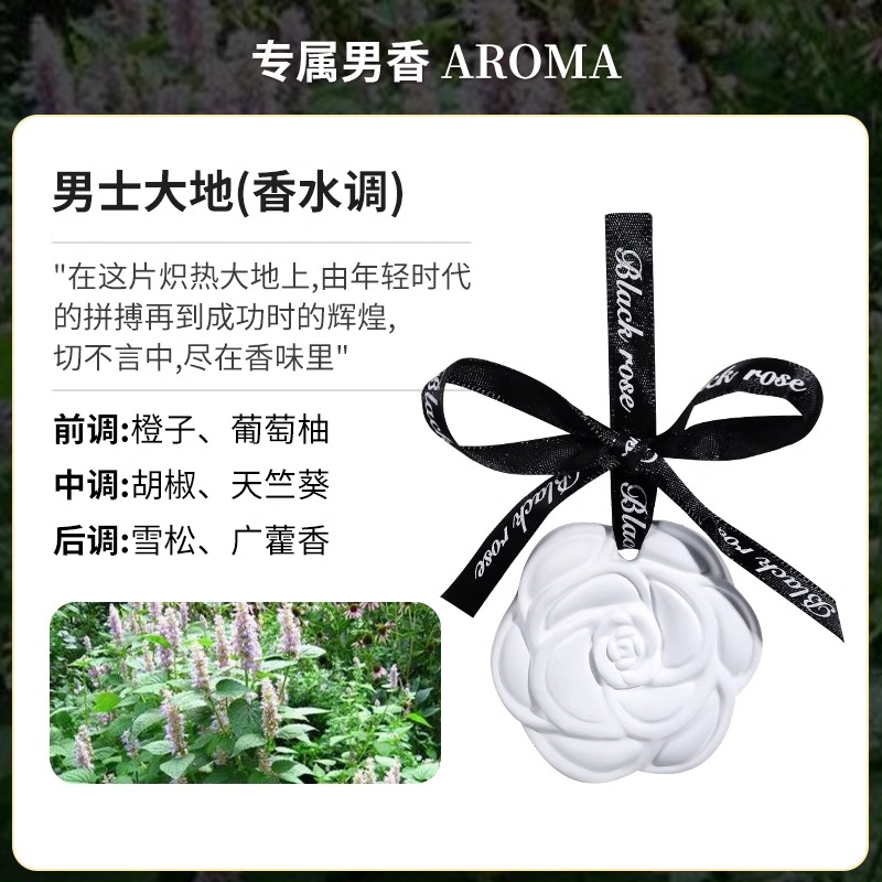 栀子花衣柜香薰香片室内家用持久高级卧室留香衣橱厕所卫生间香氛 男士大地(3片)