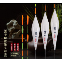 鱼漂高灵敏鲫鱼加粗醒目纳米浮漂套装全套大粗尾近视钓鱼漂超