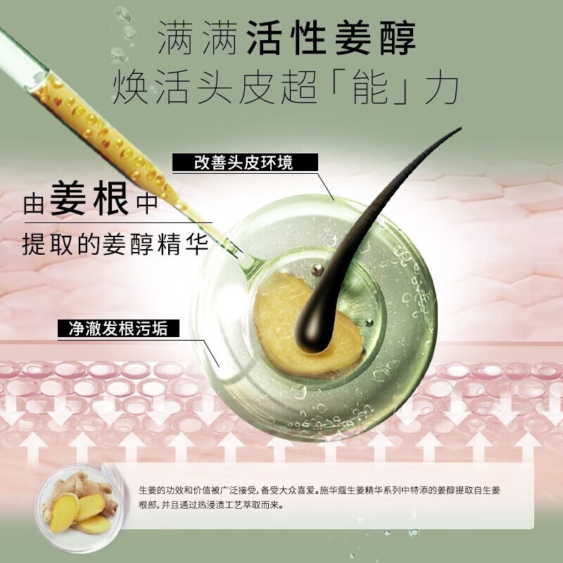 施华蔻 400ML生姜精华润发乳控油型 清爽去屑止痒强发根润发乳2908042[新老包装随机发]高清大图