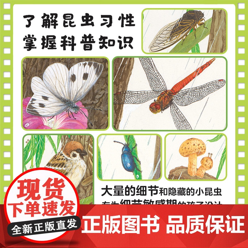 向上吧小蜗牛 儿童抗挫力培养绘本系列 向上吧小蜗牛 小蜗牛 好吃的在哪里 3-6岁 车丽娇著 洞察力专注力行动力抗挫力儿高清大图