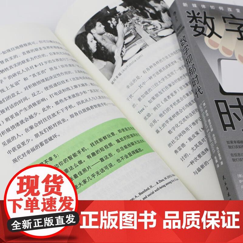 数字抑郁时代 萨拉迪芬巴赫   丹尼尔乌尔里希民主与建设出版社高清大图