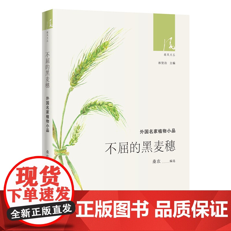 不屈的黑麦穗高清大图