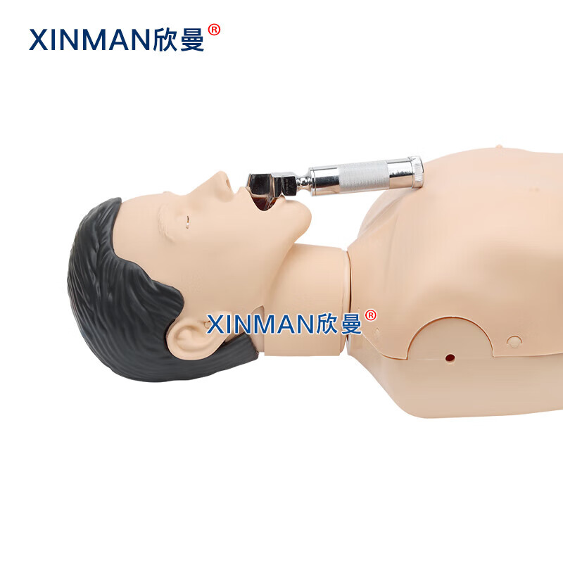 欣曼科教 高级半身心肺复苏与气管插管模拟人 气管插管操作训练 鼻口咽通气练习XM-CPR250A高清大图