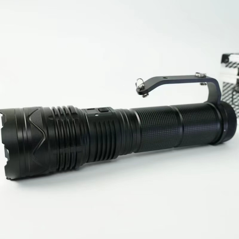 虎光风行 大功率手提灯 FL-SFW6101 55W 黑色