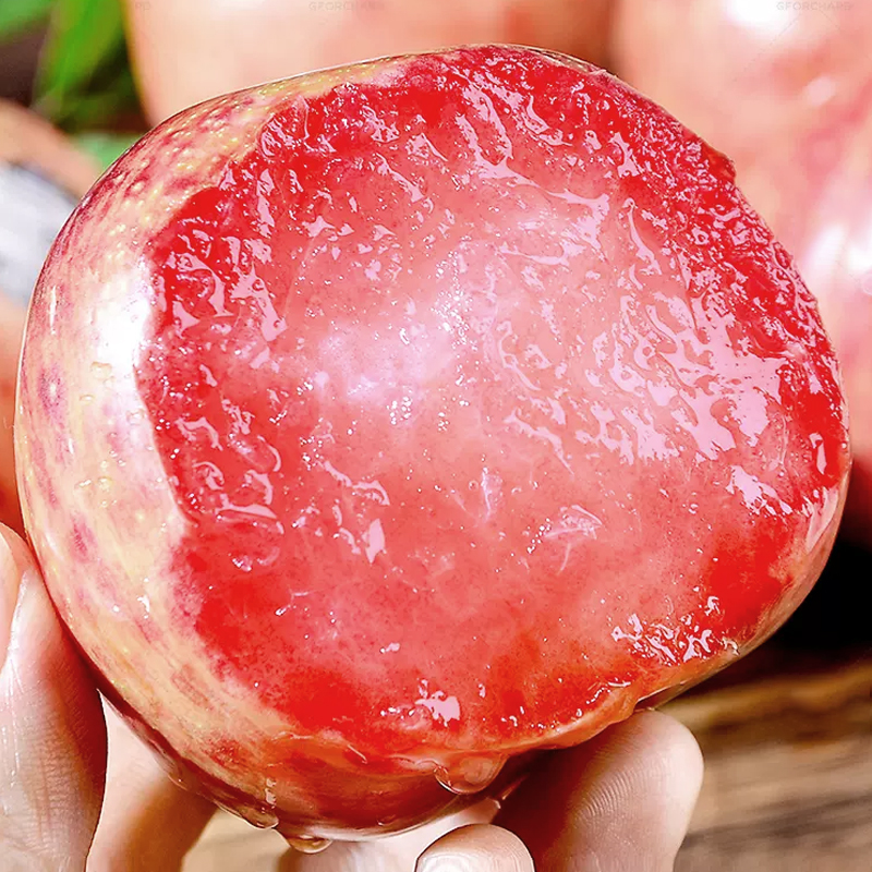 [西沛生鲜]智利进口血丝李 3斤 珠宝李子当季新鲜红布林整箱血丝李