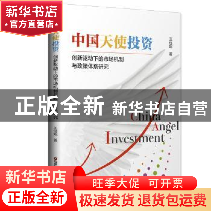 正版 中国天使投资:创新驱动下的市场机制与政策体系研究 王佳妮高清大图