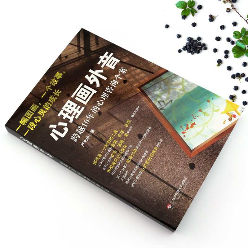[正版]心理画外音 跨越10年的心理咨询个案 严文华 社会心理学与生活 心理咨询与手记 华东师范大学 一幅图画一个故事高清大图