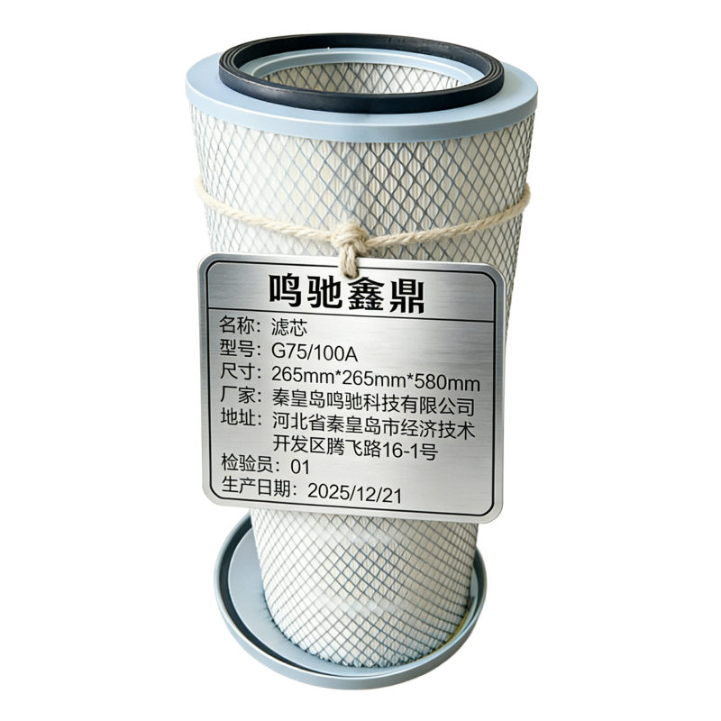 鸣驰鑫鼎 滤芯 G75/100A 个高清大图