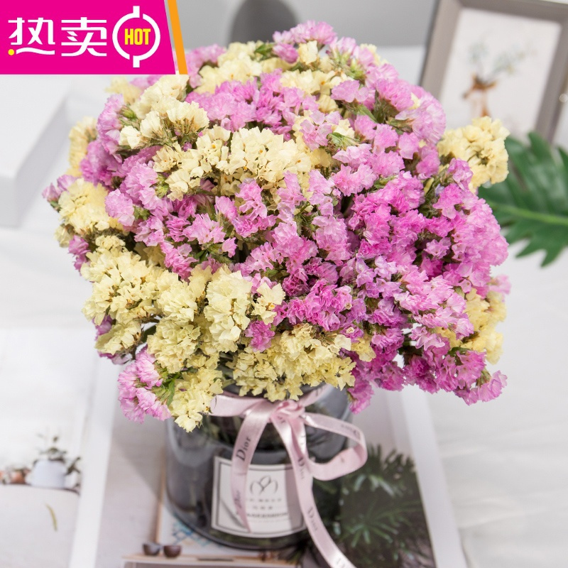 封后 Fenghou 花瓶 花艺勿忘我干花客厅卧室装饰花束风干真花大束小清新摆件家居摆设fenghou 大束双色勿忘我粉 黄 不含花瓶 价格图片品牌报价 苏宁易购梦舟家居生活专营店