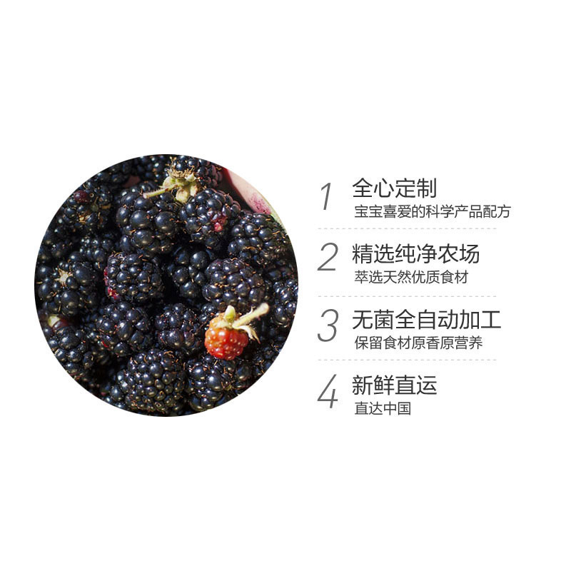 嘉宝Gerber婴幼儿辅食 香蕉混合莓泥 蔬果泥 二段 6个月以上 113g*2罐装 226g 美国进口