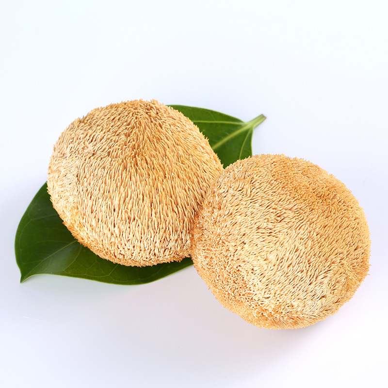 盛耳 猴头菇150g/袋 新鲜猴菇干货猴头猴头菌新货猴菇头非猴头菇粉