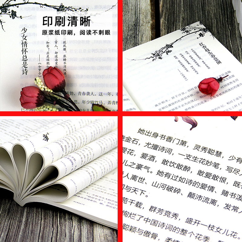 [正版]飞花令李清照词传半生烟雨半世桃花千古才女诗词一生中国古诗词鉴赏古典文学人物传记青春文学诗词歌赋书籍词集全集