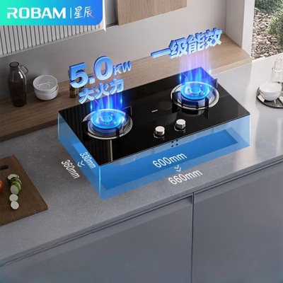 老板(ROBAM) 燃气灶 5.0kW 单灶具 双眼灶 燃气灶嵌入式 煤气灶天然气灶JZT-20B1A