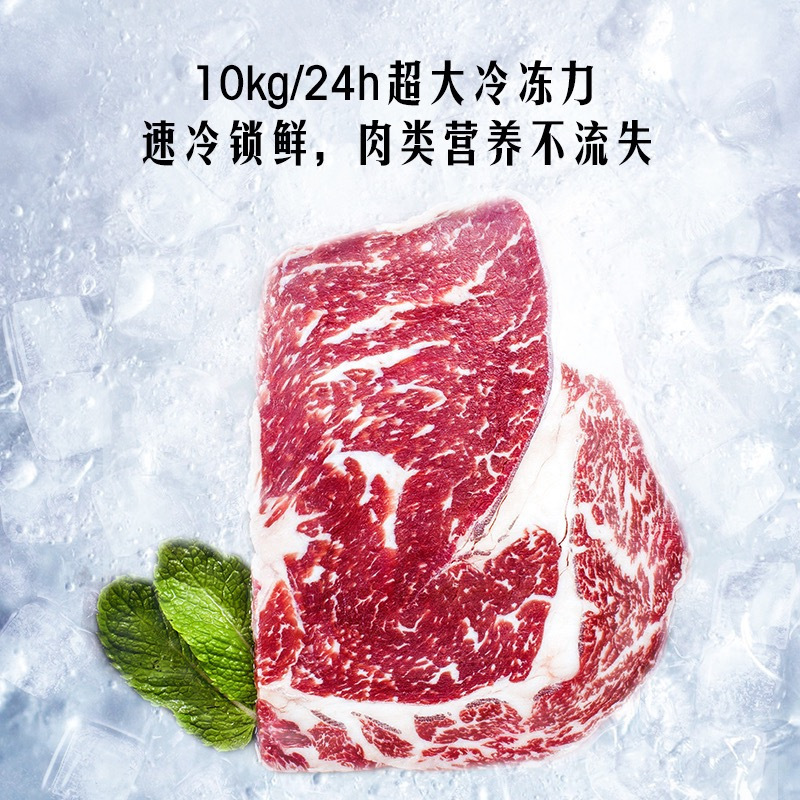 创维(SKYWORTH)BD/BC-98KL 98升冰柜冷藏冷冻转换家用低霜冷柜迷你一级能效节能省电单温母乳小冰箱