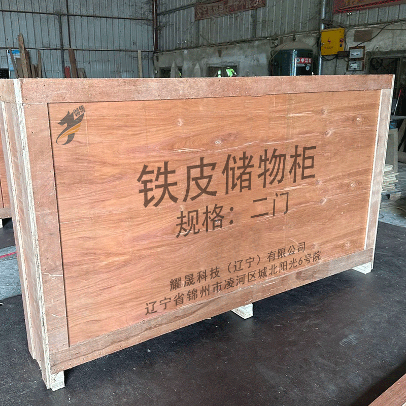 伽隽 铁皮储物柜 二门 台高清大图
