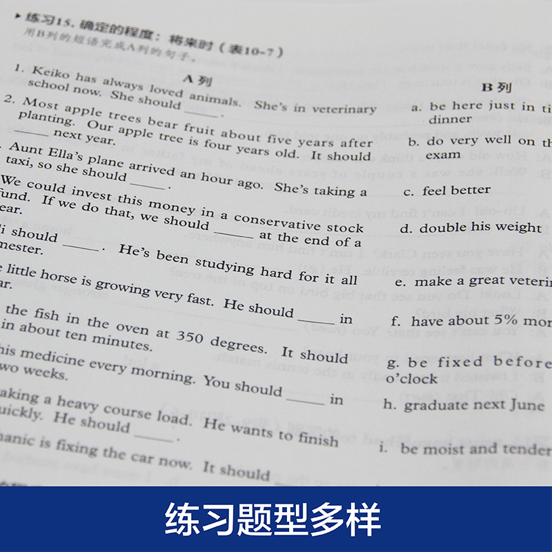 [正版] 培生英语语法(练习册) 高中大学英语常见动词及大量自主练习课程教辅 提升对英语语法的理解 四六级英语练习高清大图