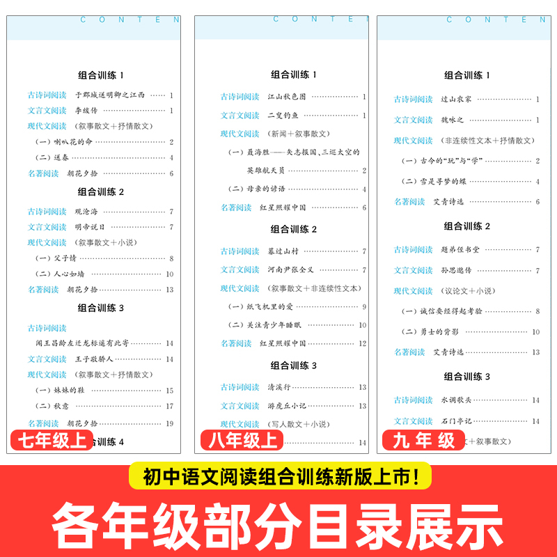 中考版英语阅读组合训练 初中通用 [正版]2024新版通城学典初中语文英语阅读组合训练七年级八年级九年级上册下册789年
