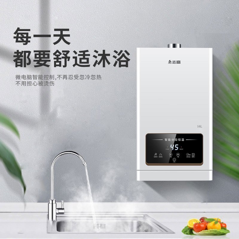 志高(CHIGO)燃气热水器 家用天然气 速热变频恒温降噪 强排式多点供水 16升 JSQ31-16H3