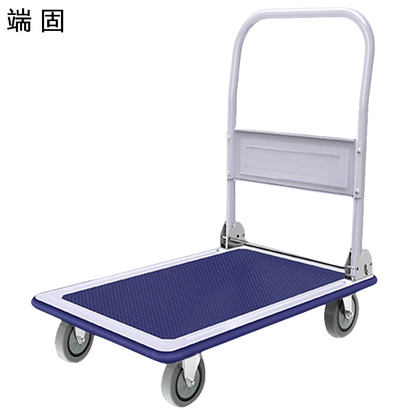 端固 钢制平板车手推车搬运车90*60cm 5S-90/个