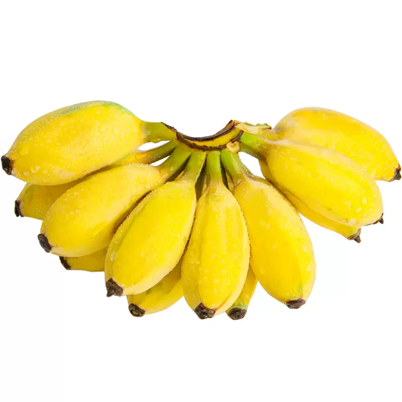 [西沛生鲜]国产苹果香蕉 净重5斤装 美人蕉 孕妇水果宝宝辅食 新鲜当季苹果香蕉高清大图