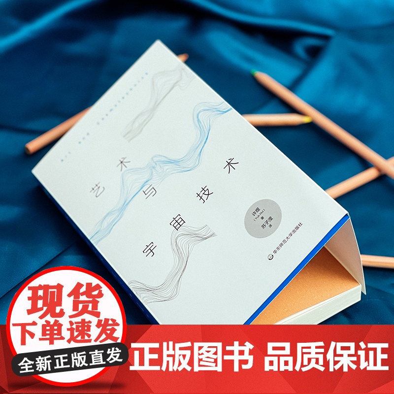 艺术与宇宙技术 哲学研究 文化思想研究 六点图书 递归与偶然 续篇 许煜著 苏子滢译 正版 华东师范大学出版社高清大图
