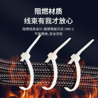 凯士士KSS CV-250SKW尼龙扎线带 进口UL认证(2.5*250mm) 白色1000根/包