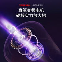 华凌 10公斤直驱变频滚筒洗烘/洗干一体机 真丝柔洗 蒸汽消毒 纤风空气洗 老虎银 HD100X3